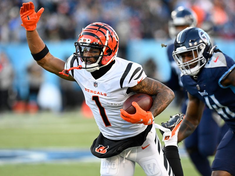 Bengals 19-16 Titans: late field goal wins it for the Bengals, summary,  scores, stats, highlights