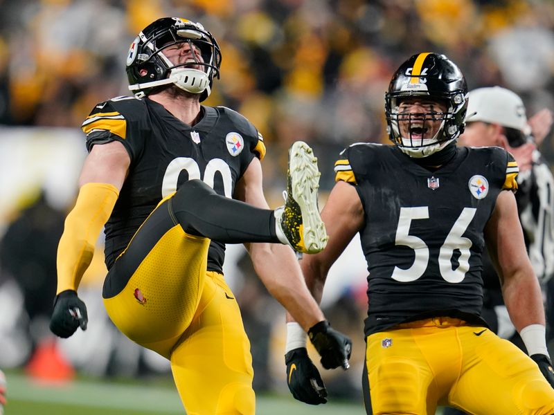 BROWNIES & FROWNIES: Steelers win in Big Ben's final home regular season  game 26-14 - Dawgs By Nature