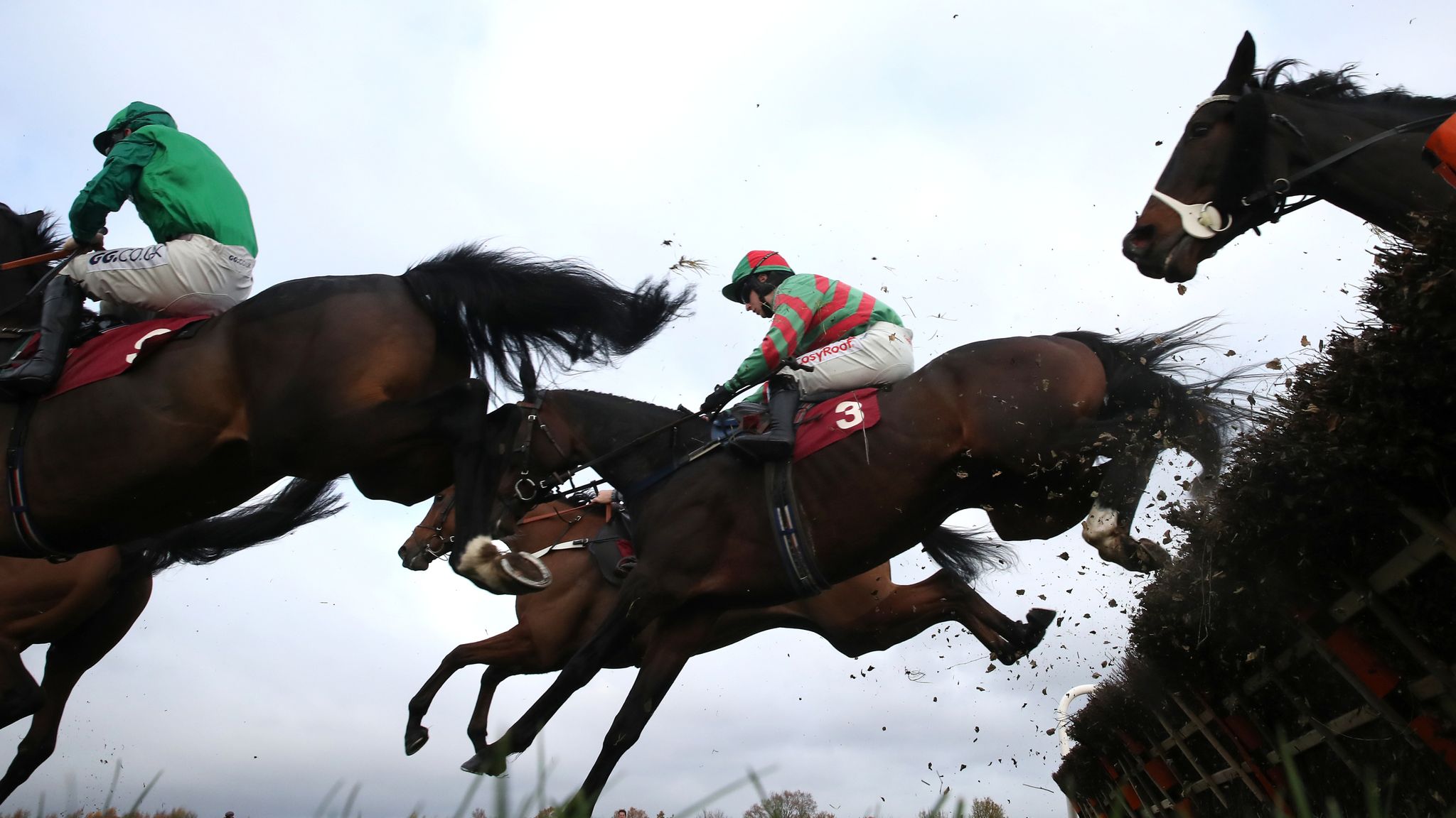 Cheltenham Festival: Tommy's Oscar all set for Champion Hurdle bid for ...