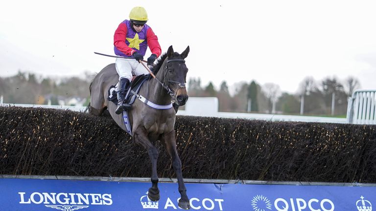Dashel Drasher jumps to victory in the Ascot Chase last year