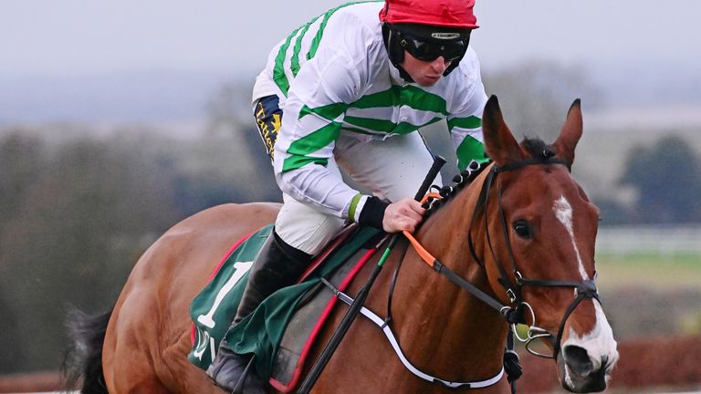 American Mike and Jamie Codd win the Future Champions Flat Race at Navan