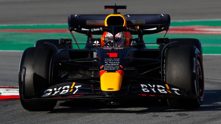 Max Verstappen has taken up the world champion's option of using No 1 on his car this season (AP)