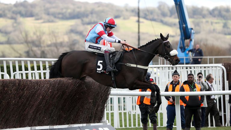 Saint Calvados looks set to head for the Ryanair Chase at Cheltenham after Saturday's Ascot Chase