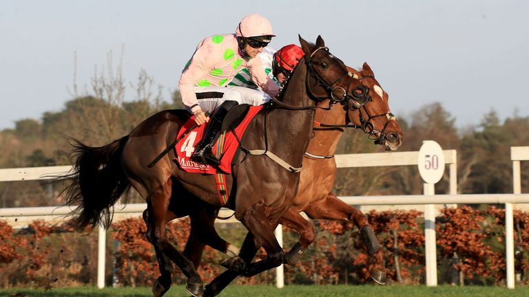 Sharjah will miss the Champion Hurdle at Cheltenham this year