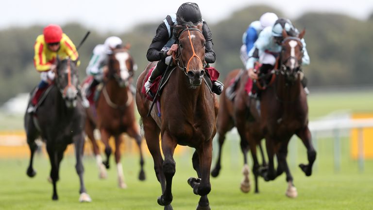 Spycatcher winning last season under Ryan Moore - he won again at Lingfield on Saturday.