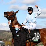 Matt Chapman's LIVID about Honeysuckle ducking the Champion Hurdle