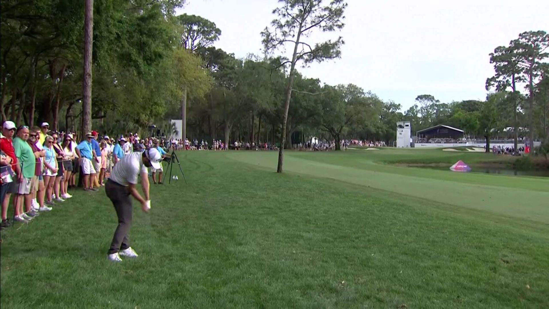 Commentator's curse for Hadwin!