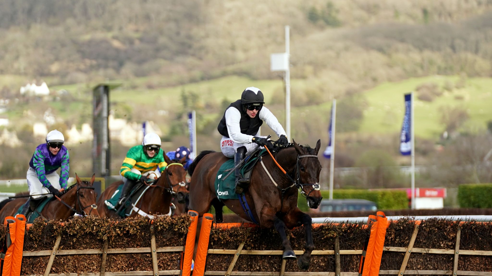 Stayers' Hurdle Aintree aim for Cheltenham Festival hero Flooring