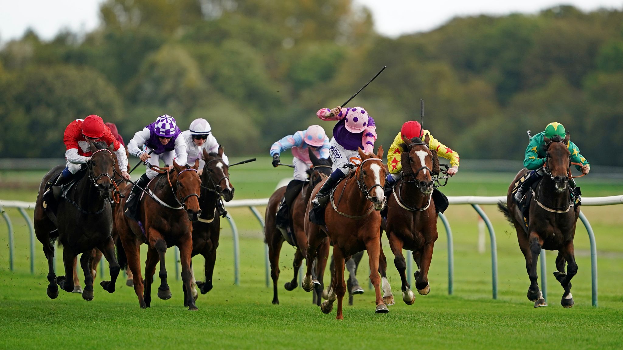 Alex Hammond blog Lincoln Handicap selections as Flat season returns