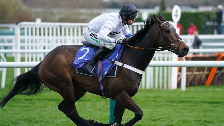 Constitution Hill ridden by Nico de Boinville wins the Sky Bet Supreme Novices' Hurdle