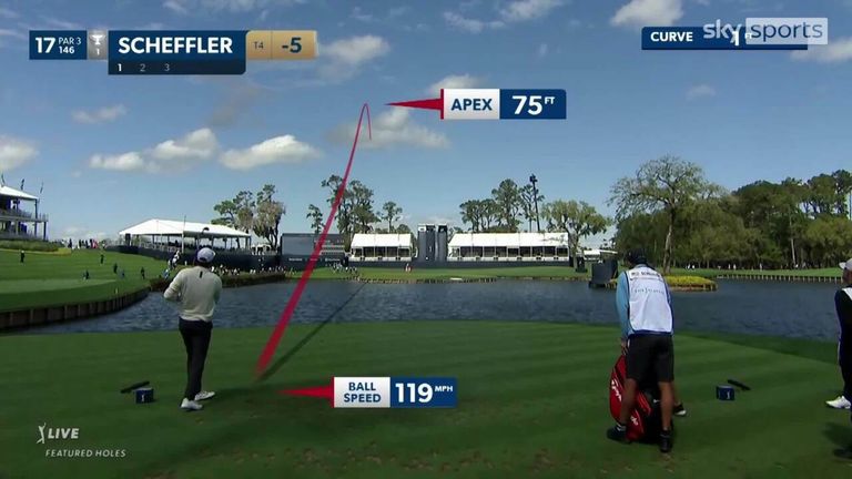 Scottie Scheffler, Xander Schauffele and Brooks Koepka, the first three players to face the treacherous tee shot on 17 at TPC Sawgrass on Saturday, all found the water in high winds