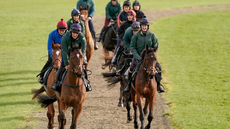 The Willie Mullins string on the gallops at Cheltenham 