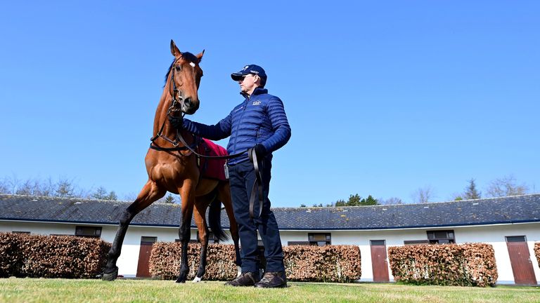 O&#39;Brien brings 2000 Guineas hopeful Luxembourg out for the cameras at his start of season press day