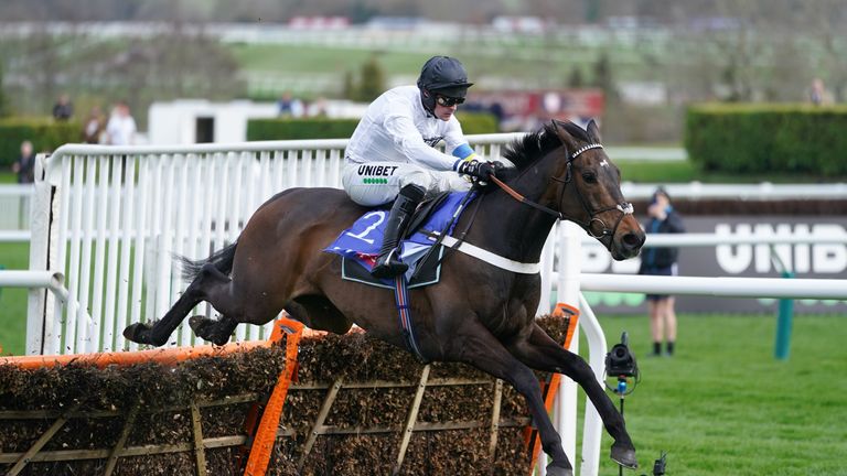 Constitution Hill clears the last in the Supreme Novices' Hurdle at the Cheltenham Festival