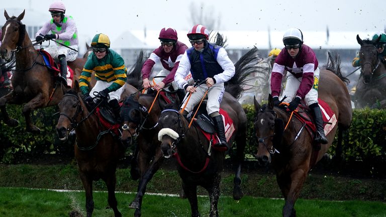 The Cross Country field head out at the Cheltenham Festival