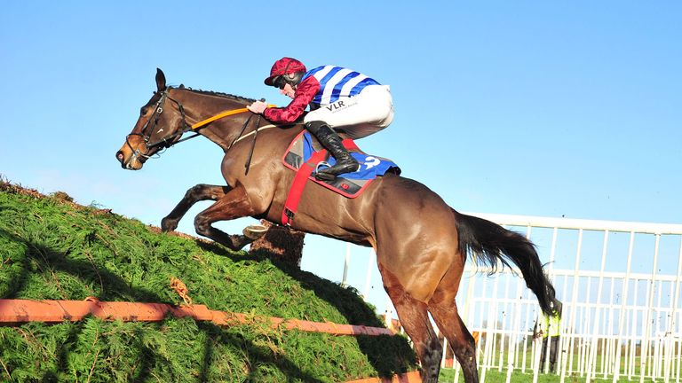 Escaria Ten finished third in the National Hunt Chase at the Cheltenham Festival last year