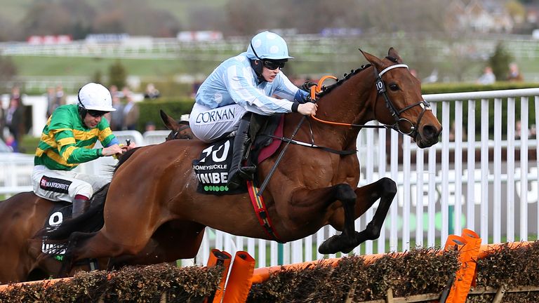 Honeysuckle clears the last in the Champion Hurdle ahead of Epatante