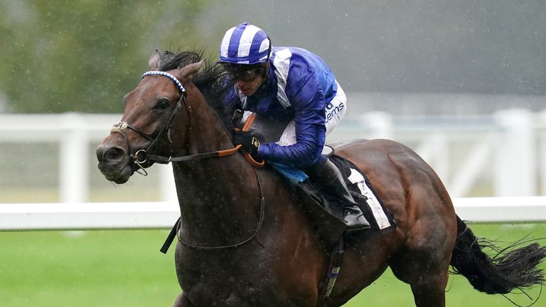 Hukum ended last season with victory in the Cumberland Lodge Stakes at Ascot
