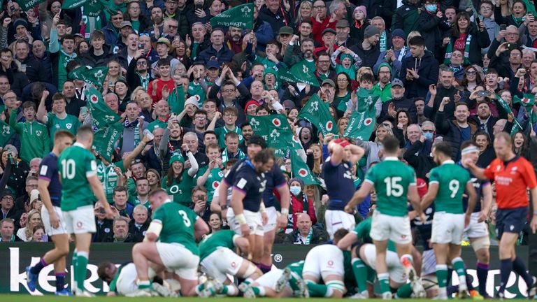 Ireland's fan celebrating inside the AVIVA Stadium