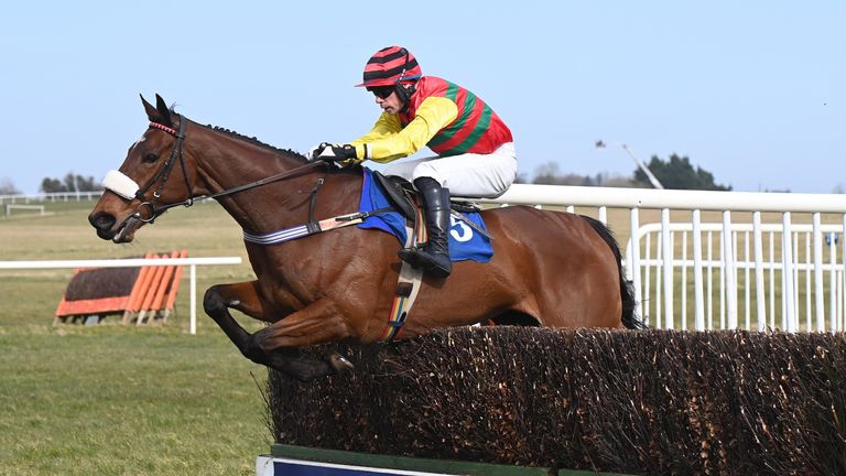 Max Flamingo and Denis O'Regan win the Horse & Jockey Beginners Steeplechase