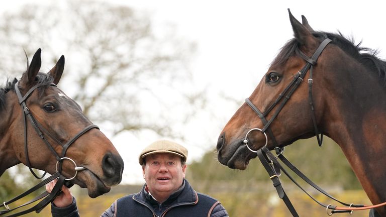 Festival face-off: Nicky Henderson's Jonbon (left) and Constitution Hill are set to clash in the Supreme Novices' Hurdle