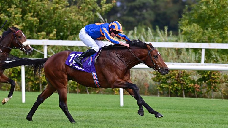 Star Of India and Seamie Heffernan win on debut at Leopardstown