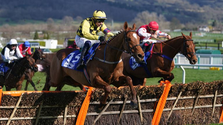 State Man wins the County Hurdle at Cheltenham