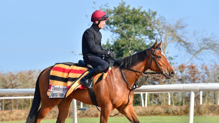 Tenebrism will go straight to Newmarket for 1,000 guineas.