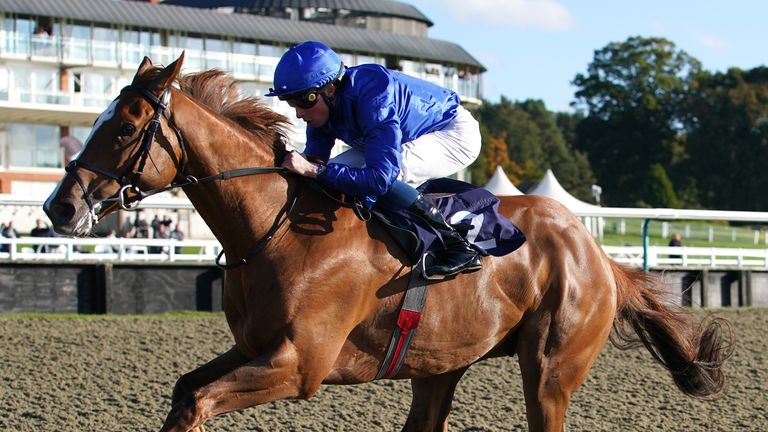 Jockey of the year William Buick rode Modern News to his last two victories at Doncaster and Lingfield