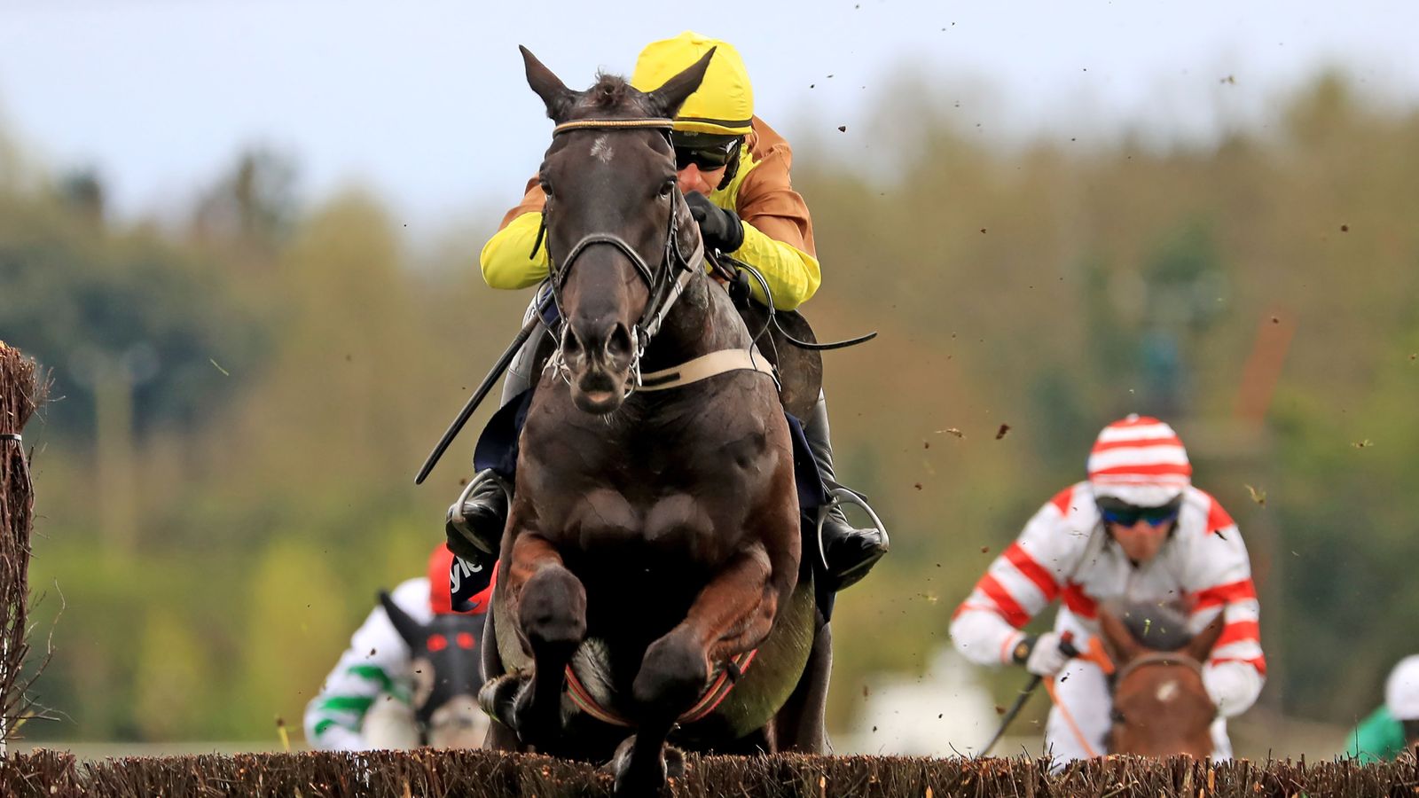 Off The Fence: Galopin Des Champs flawless in Punchestown return says Barry Geraghty