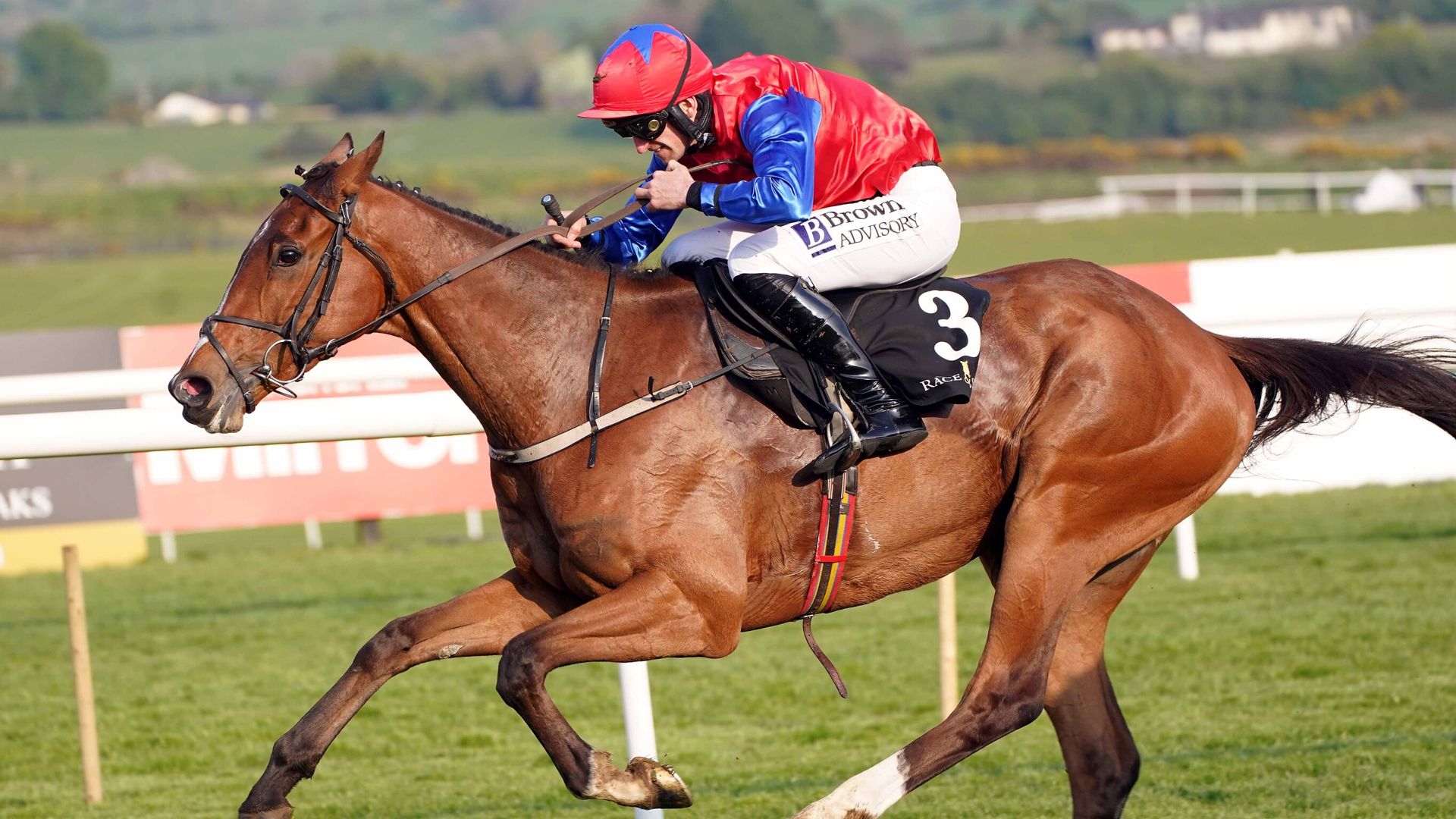 Facile Vega survives Punchestown scare to stay unbeaten