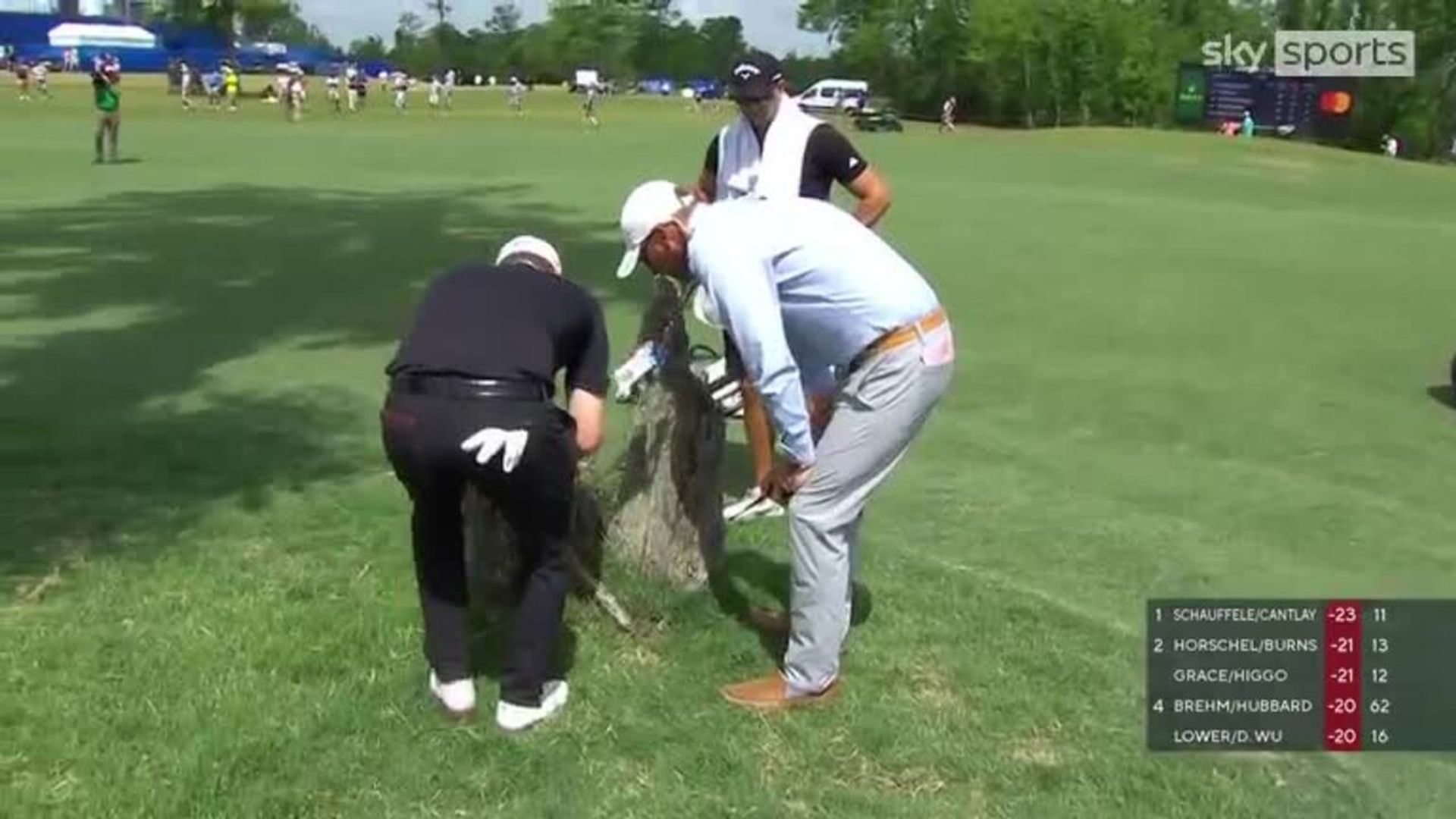 Grace loses ball in a dead tree stump!