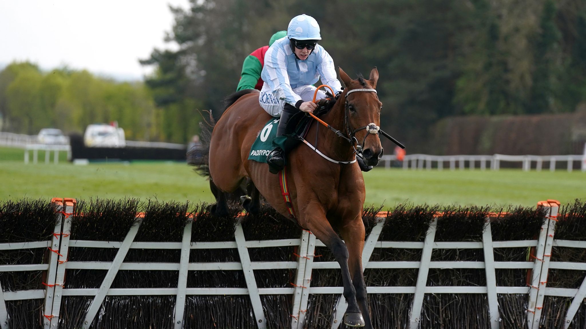 AngloIrish Jumps Classifications Cheltenham Gold Cup hero A Plus Tard