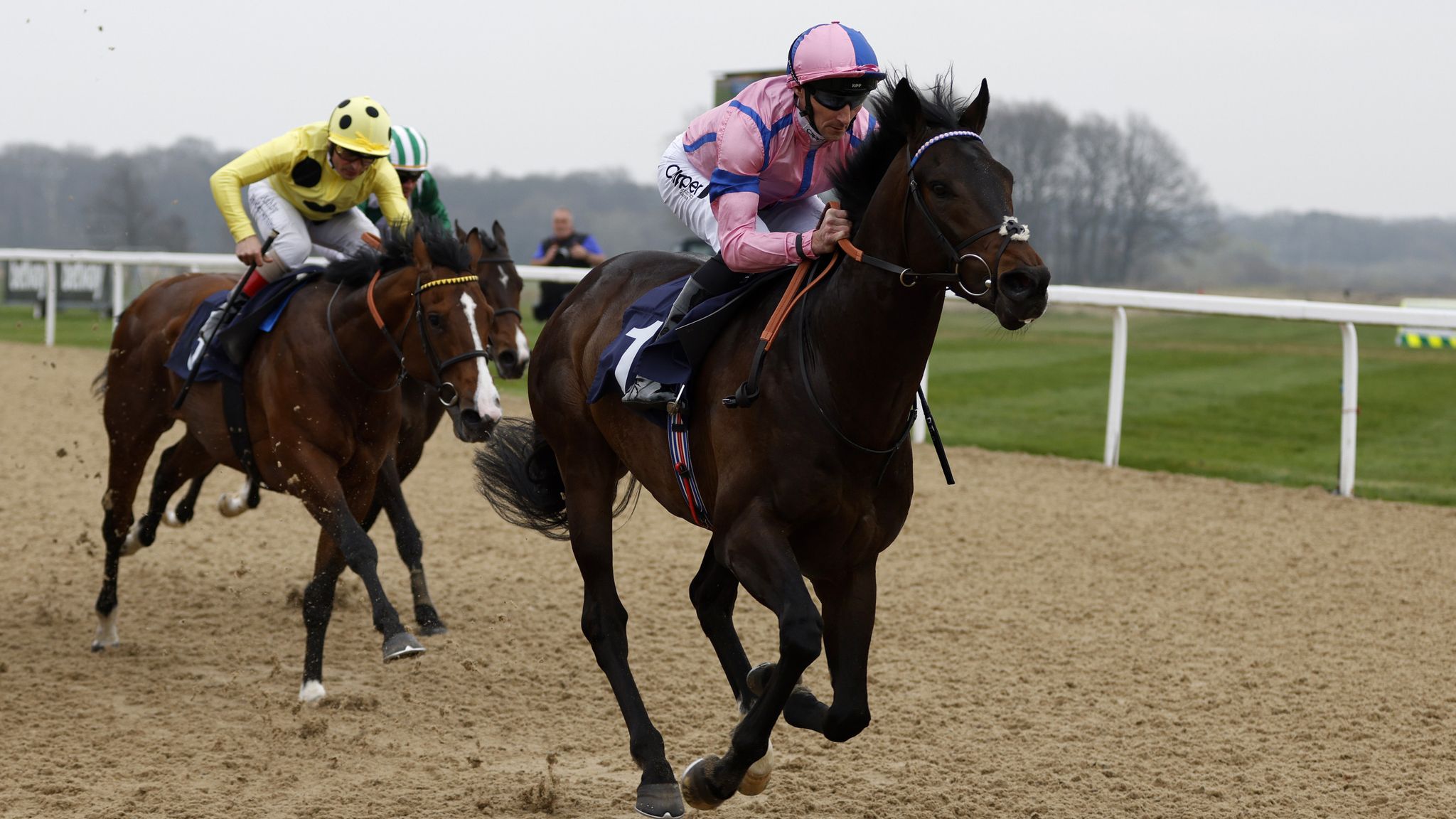 Qipco British Champions Day: Freddy Tylicki's runner-by-runner guide ...