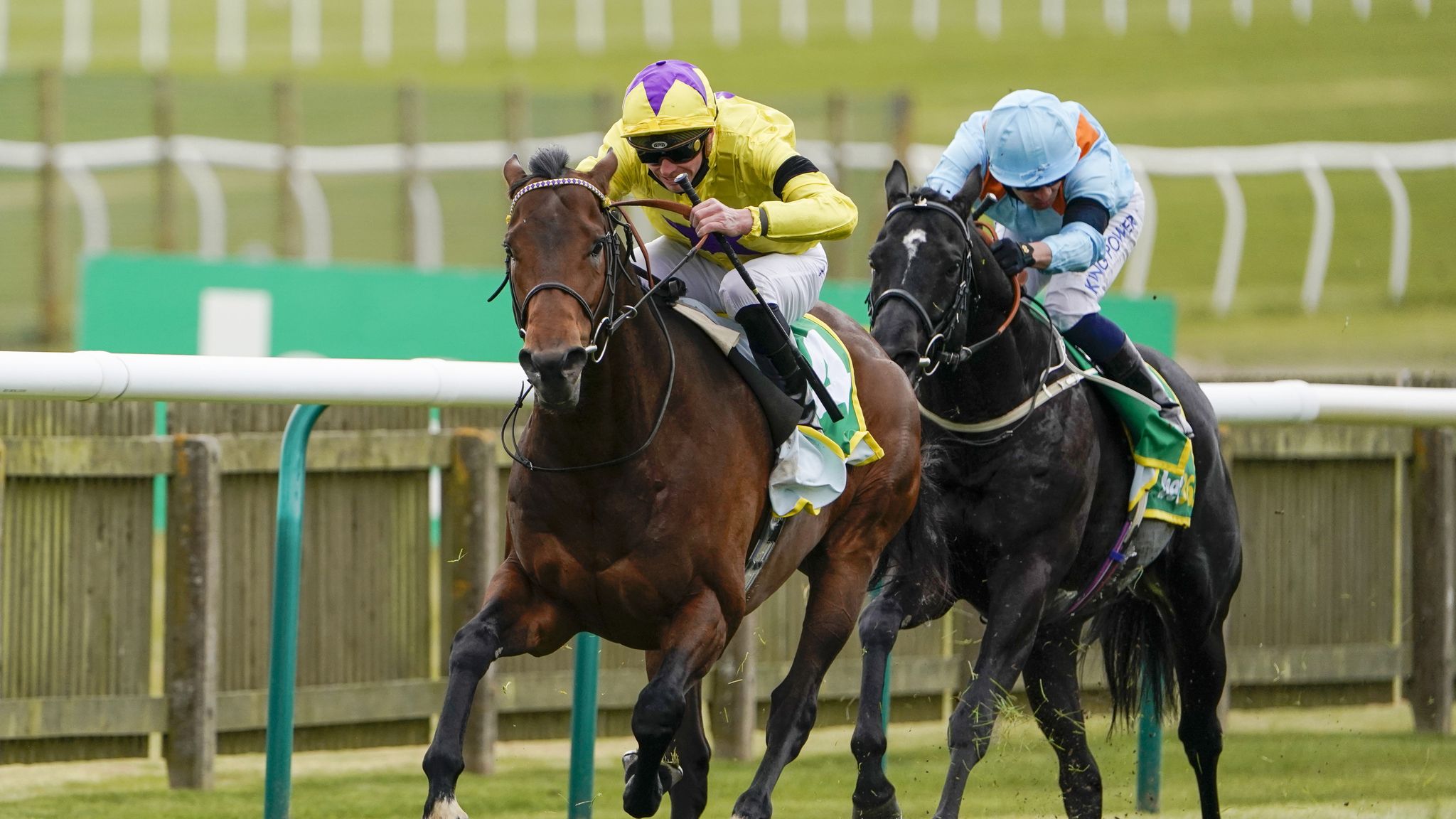 Ascot Summer Mile Runnerbyrunner guide and bigrace verdict as