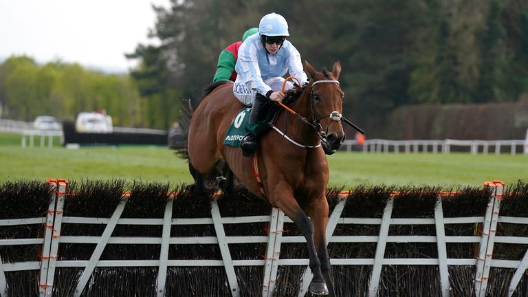 The honeysuckle rode by jockey Rachael Blackmore wins the Paddy Power Champion Hurdle 