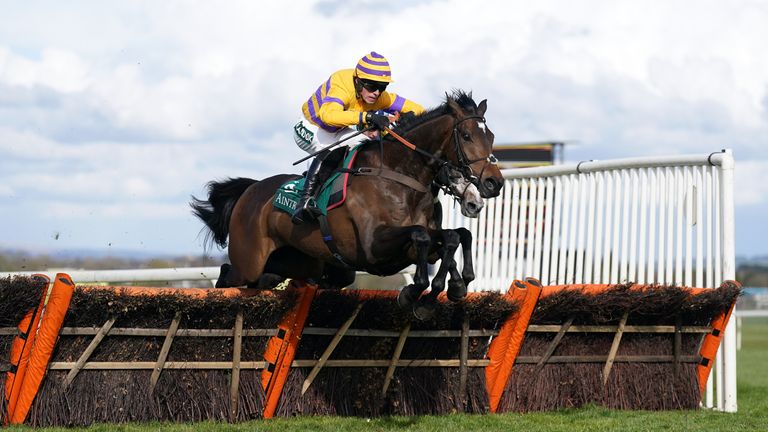 Gelino Bello goes on to win the Sefton Novices' Hurdle at Aintree