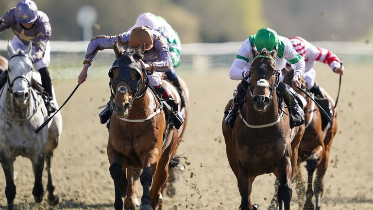 Exalted Angel (right) chases home Summerghand in the Sprint Championships at Lingfield on Finals Day last year