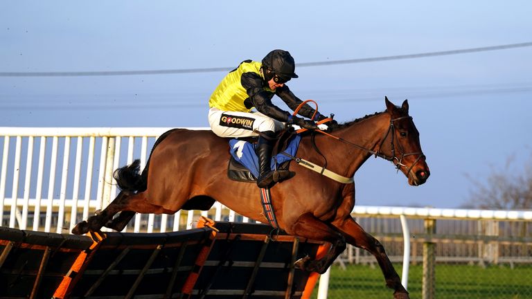 Aucunrisque won the Sussex Champion Hurdle at Plumpton on Easter Sunday