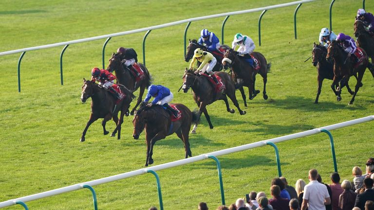 Coroebus stretches clear of Imperial Fighter and Dubai Poet to win at Newmarket in October