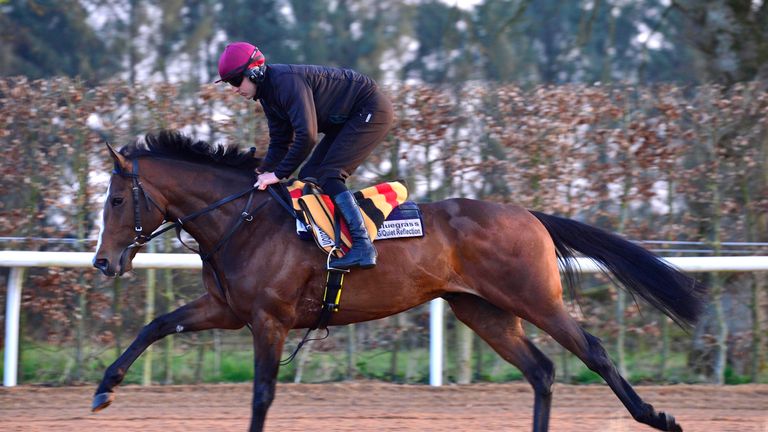 Bluegrass working on the gallops at home for trainer Aidan O'Brien