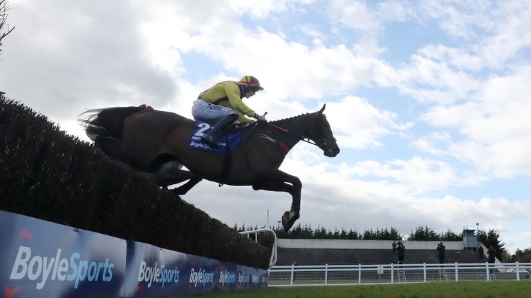 Freewheelin Dylan wins the Irish Grand National for local trainer Dermot McLoughlin