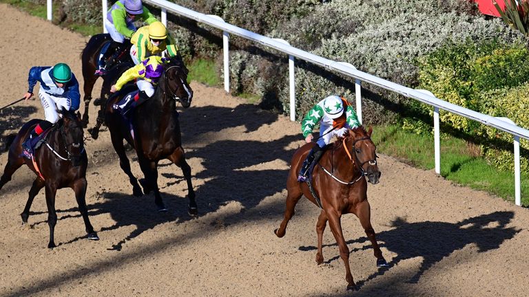 Harry's Bar's last three career victories have come on the All-Weather at Dundalk