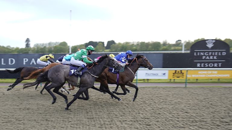 Excel Power (blue) wins under Doyle at Lingfield last year