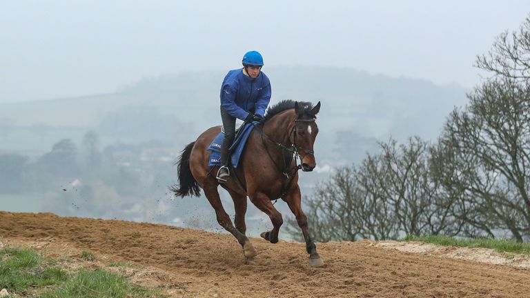 Lostintranslation works at home on the gallops at Colin Tizzard&#39;s yard