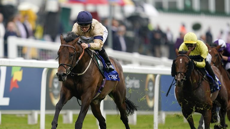 Mehmento's sole win on the turf came in the Listed Surrey Stakes at Epsom last season