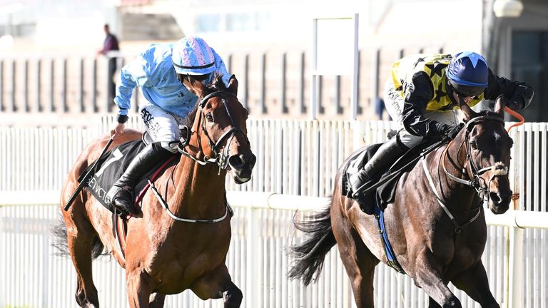 Noble Yeats and Brian Hayes (blue) beat Gabynako on chasing debut at Galway