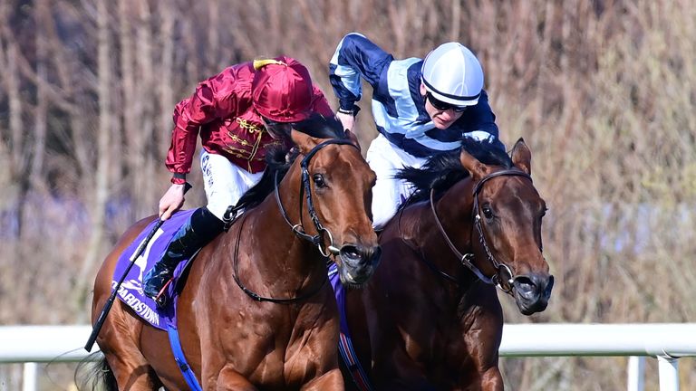 Piz Badile and Gavin Ryan (right) battle it out with Buckaroo in the Ballysax Stakes