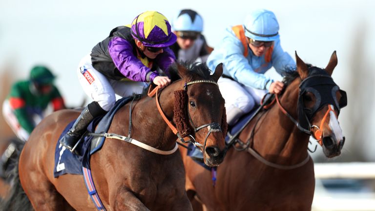 Rainbow Dreamer and Hollie Doyle won at Wolverhampton in January