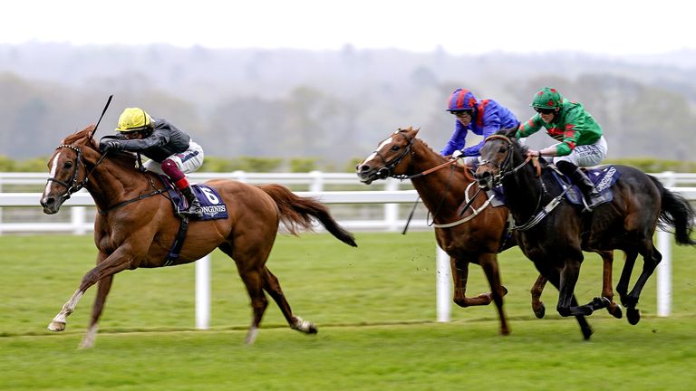 Stradivarius wins the Sagaro Stakes at Ascot on Trials Day